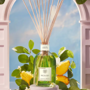  LIMONE CEDRATO - Recharge Diffuseur 500 ml / Dr Vranjes Firenze