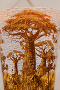  SACRED TREES BOUNKANI - Bougie Max16 / BAOBAB Collection