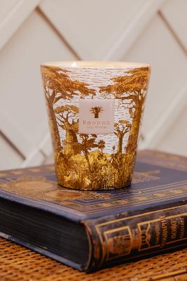  SACRED TREES BOUNKANI - Bougie Max16 / BAOBAB Collection